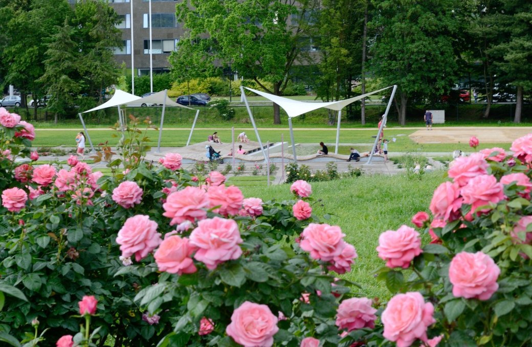 Prohlášení ředitele společnosti Výstaviště Flora Olomouc, a.s. Ing. Jiřího Uhlíře k odvolání představenstvem společnosti