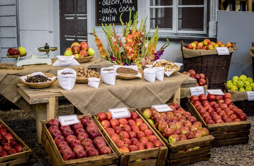 Poděkování partnerům podzimní etapy Flora Olomouc