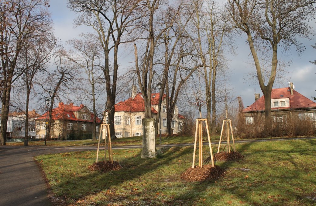 V olomouckých historických parcích se pracuje na revitalizaci zeleně podle Projektu obnovy vegetačních prvků 