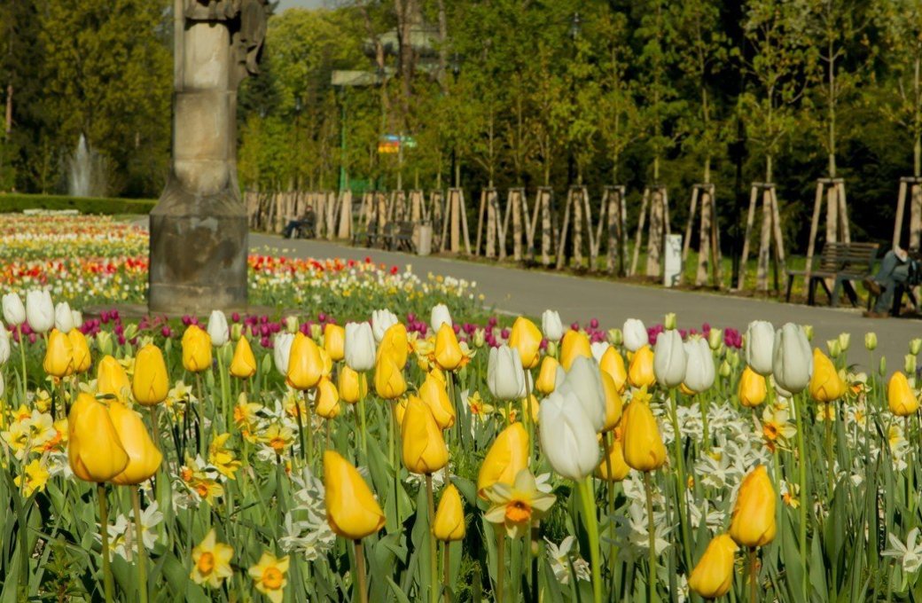 Výstaviště Flora Olomouc má promyšlený systém organizace úklidu a výsypu odpadkových košů v parcích