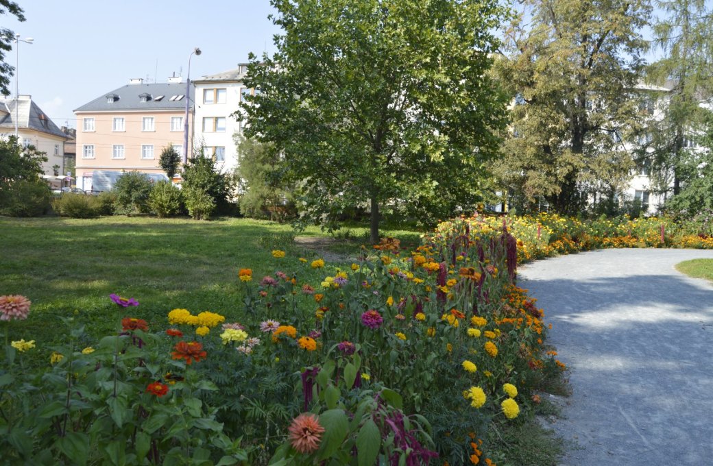 Jarní květinové osvěžení nabízí botanická zahrada i rozárium. Parky brzy rozkvetou novými letničkovými záhony