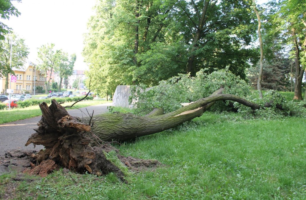 Návštěvníci, dbejte zvýšené opatrnosti v parcích!