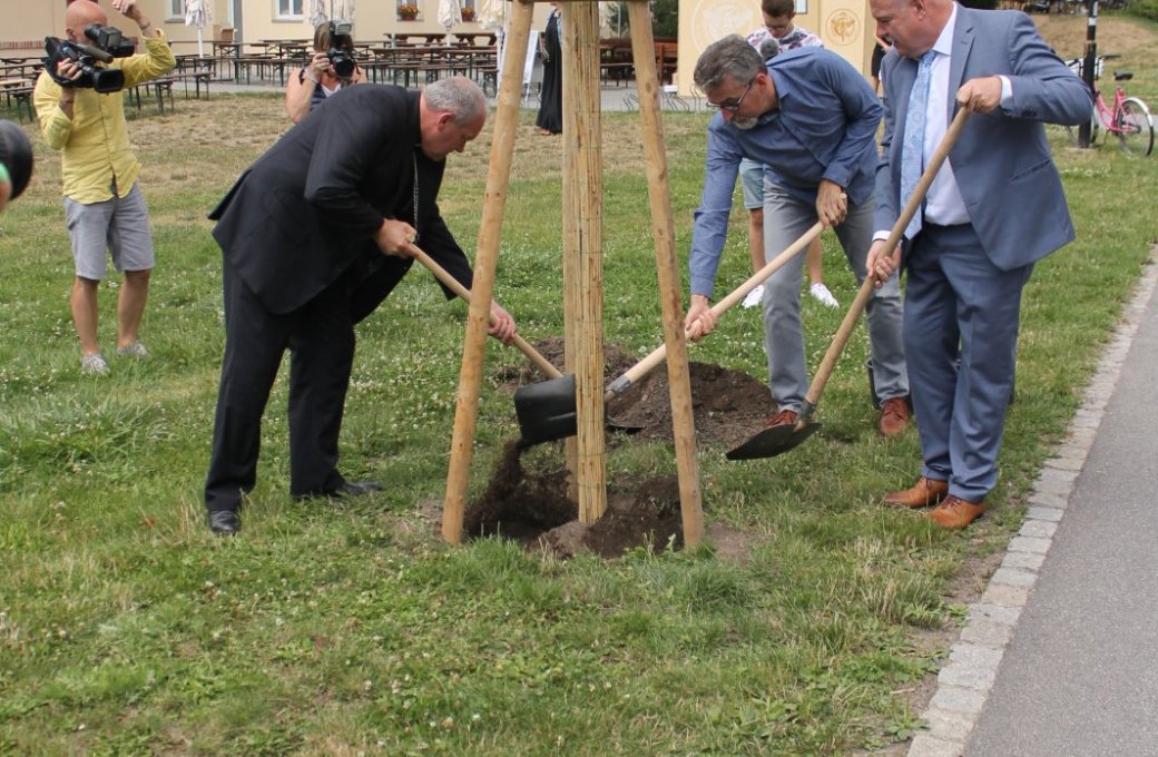 Lípa v Rudolfově aleji bude připomínat jejího zakladatele Rudolfa Jana