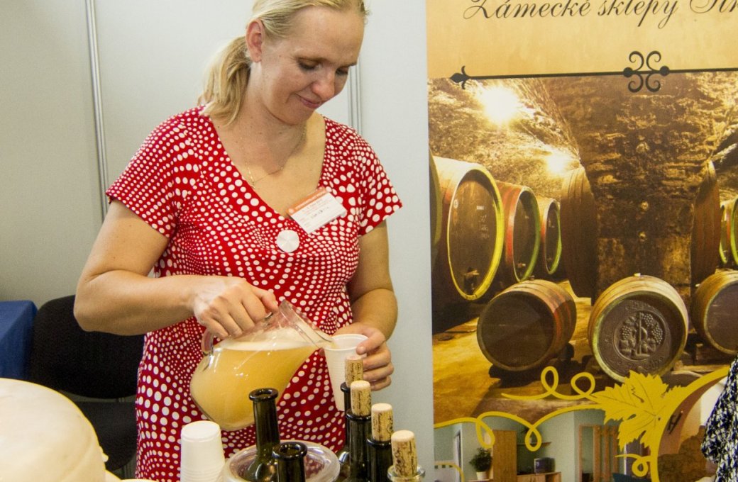 Dny moravských vín: degustace, přednášky i cimbálovka