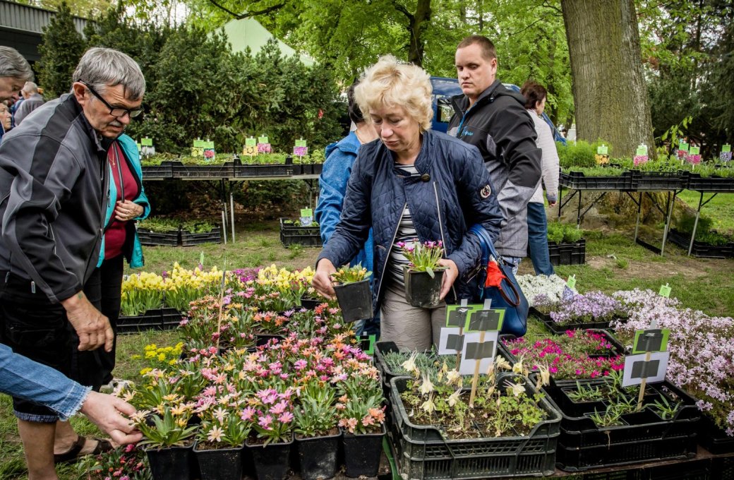 Venkovní Zahradnické trhy místo jarní výstavy Flora Olomouc