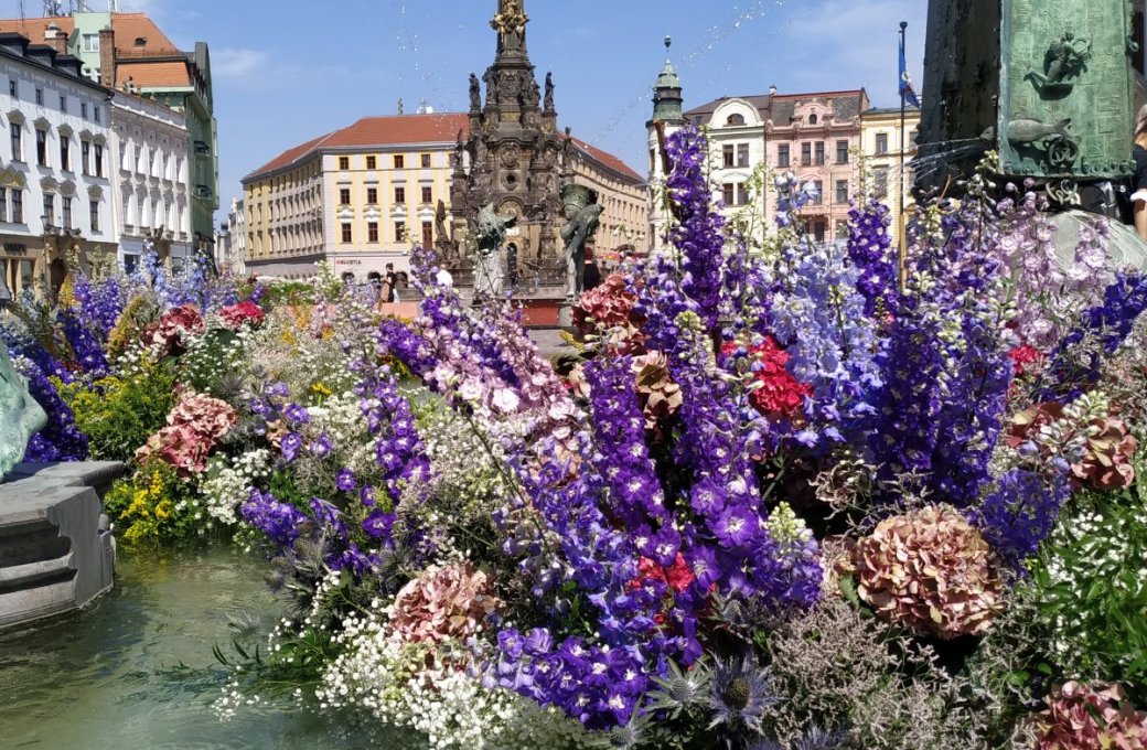 Olomoucké náměstí v záplavě květin