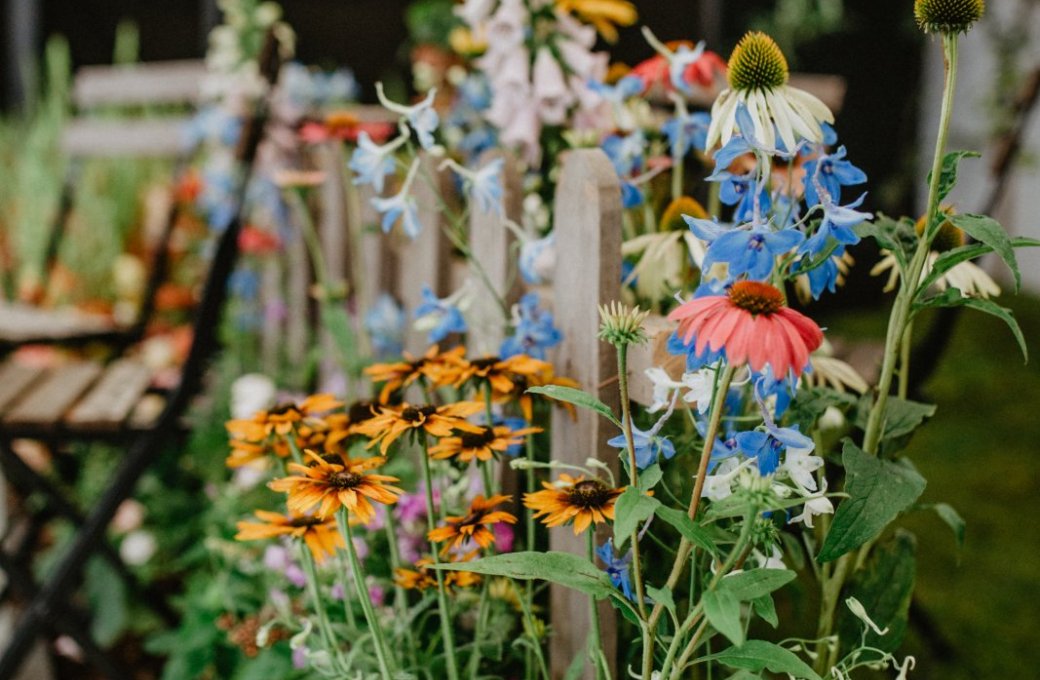 Letní Flora Olomouc připomene léčivou moc přírody i dávné visuté zahrady