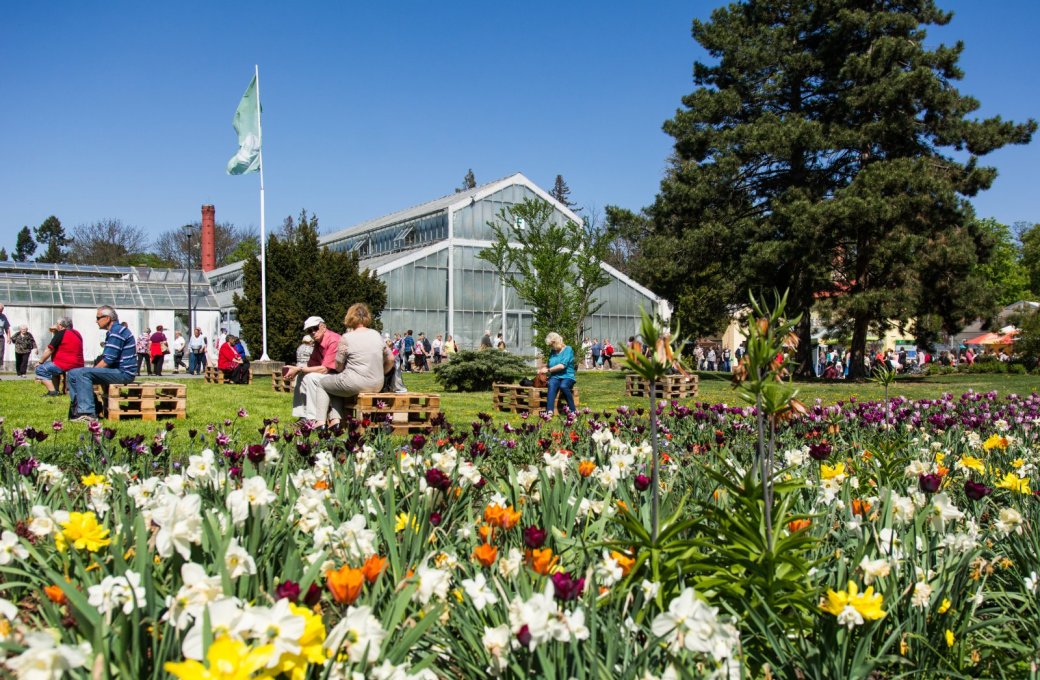 Květinová Flora Olomouc je zpět, hlavní expozice znázorní koloběh života