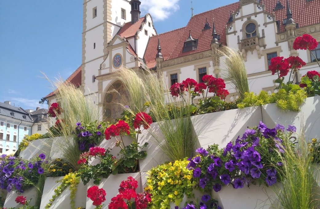 Olomouc - město květin. Výstaviště Flora jej obohatilo o jedinečná aranžmá i záhony
