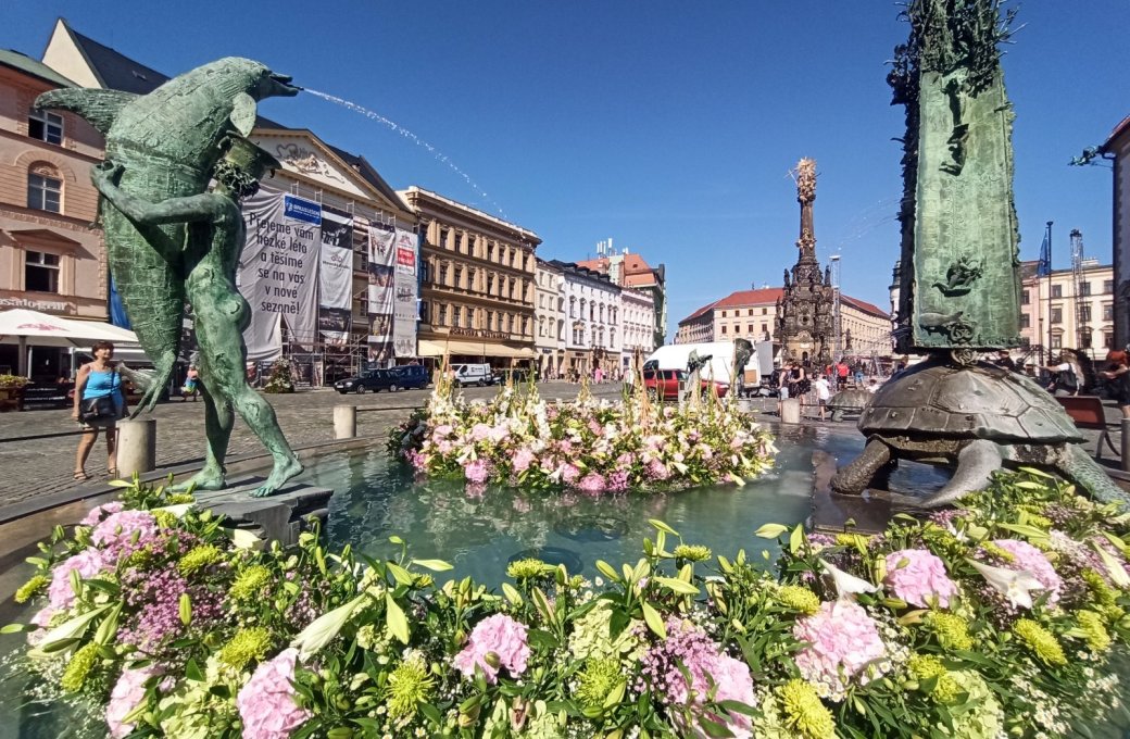 Téměř dva tisíce květin zdobí Arionovu kašnu v centru Olomouce