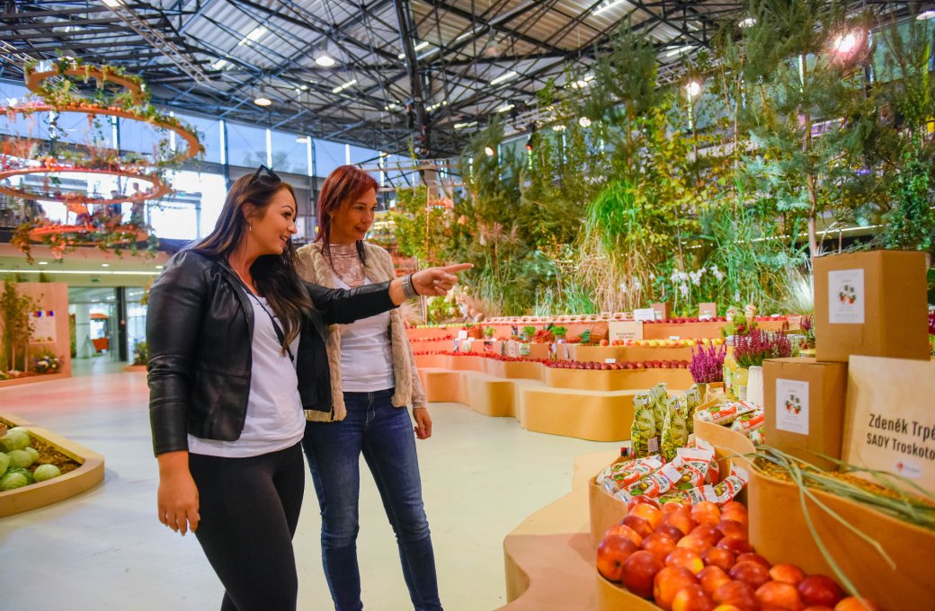 Velkolepá hlavní expozice plná vůní a barev. Flora Olomouc – Hortikomplex se koná 3. – 6. 10.