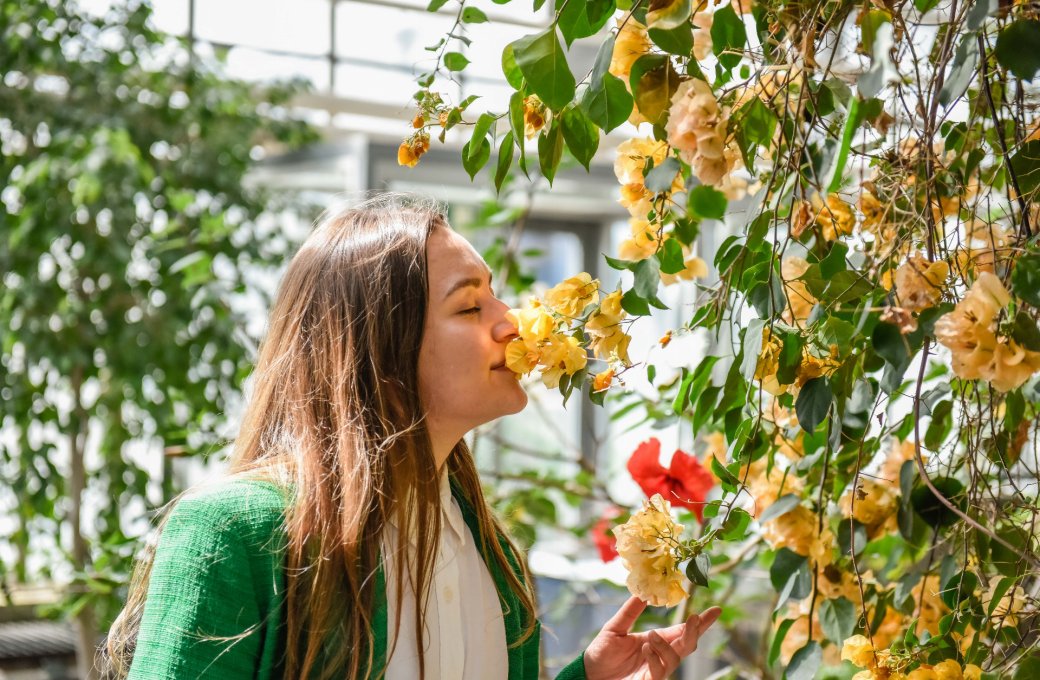 Výstaviště Flora Olomouc v roce 2025: Světová floristika, výstavy či festival Vyznání růžím, jenž připomene 100 let českých růží