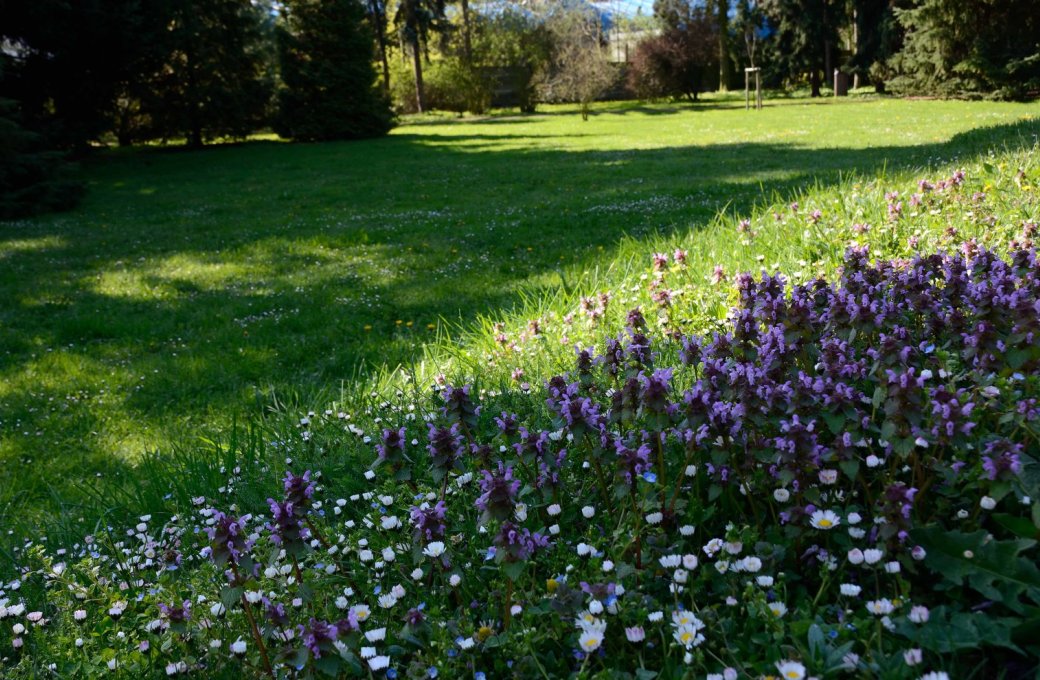 Vydejte se do botanické zahrady s bylinkářem pro radu i inspiraci