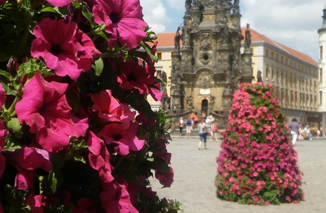 Horní náměstí oživily květinové pyramidy, dodala je a pečuje o ně Flora