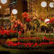 Večerní prohlídky květinové Flory: slavnostní nasvícení i hudební doprovod