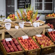 Poděkování partnerům podzimní etapy Flora Olomouc