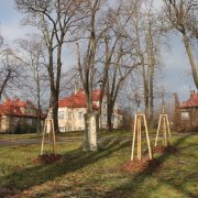 V olomouckých historických parcích se pracuje na revitalizaci zeleně podle Projektu obnovy vegetačních prvků 