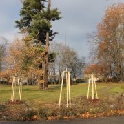 V olomouckých historických parcích se pokračuje s revitalizací zeleně dle projektu „Obnovy vegetačních prvků“ 