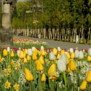 Výstaviště Flora Olomouc má promyšlený systém organizace úklidu a výsypu odpadkových košů v parcích