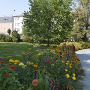 Jarní květinové osvěžení nabízí botanická zahrada i rozárium. Parky brzy rozkvetou novými letničkovými záhony