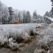 Nová zimní otevírací doba Rozária a Botanické zahrady