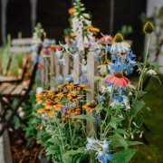 Letní Flora Olomouc připomene léčivou moc přírody i dávné visuté zahrady