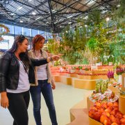 Velkolepá hlavní expozice plná vůní a barev. Flora Olomouc – Hortikomplex se koná 3. – 6. 10.