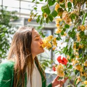 Výstaviště Flora Olomouc v roce 2025: Světová floristika, výstavy či festival Vyznání růžím, jenž připomene 100 let českých růží