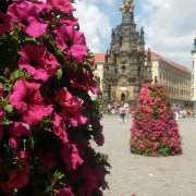 Horní náměstí oživily květinové pyramidy, dodala je a pečuje o ně Flora