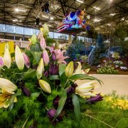 Flora, nebo tvarůžky? Vyberte nejlepší turistické zážitky v Olomouckém kraji