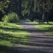 Olomoucké parky čeká sezonní údržba. Zmizí při ní některé porosty poškozených jehličnanů